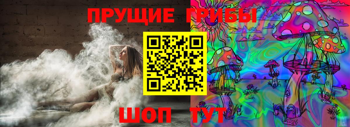 Галлюциногенные грибы GOLDEN TEACHER  Вход с VPN  Вязники 